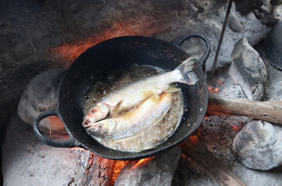 Un pescado llamado sábalo es frito en una olla con aceite en un fogón. Se puede apreciar la braza.