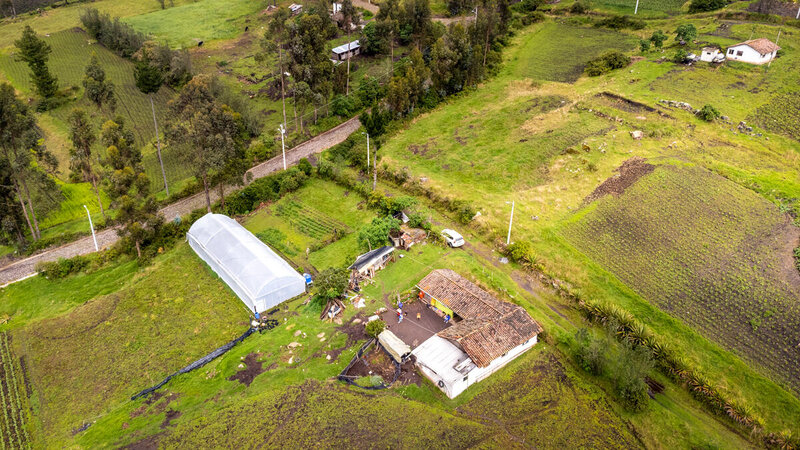 Vista aérea de un invernadero junto a una casa con techo de tejas. El área de verde y tiene muchos árboles.
