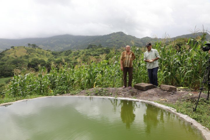 Un hombre y una mujer junto a un estanque de agua