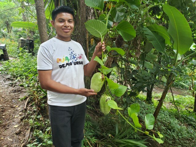 Joven agricultor muestra su siembra