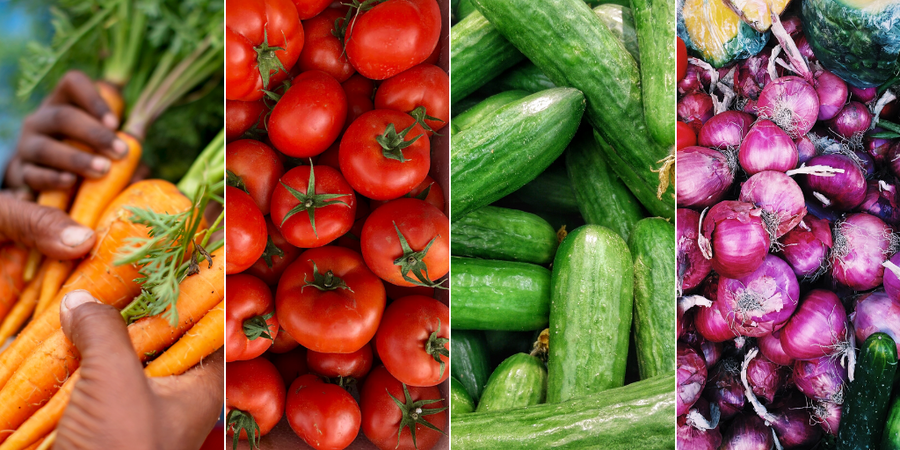 Este es un collage de fotos con vegetales frescos en donde aparecen de izq a der zanahorias, tomates, pepinos y cebollas moradas.