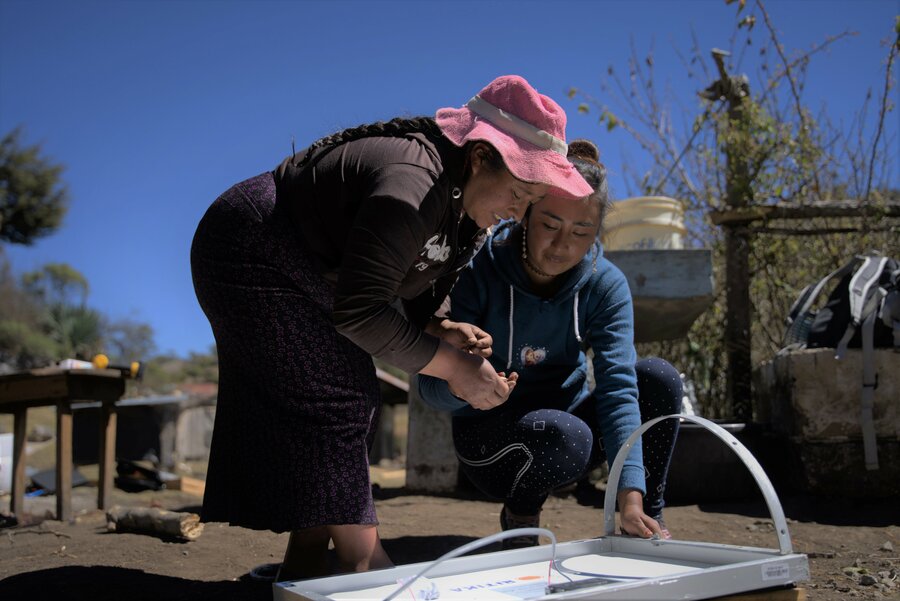 Carolina Galicia y Rosenda García (quien lleva un sombrero rosado) inspeccionan un panel en su comunidad. 