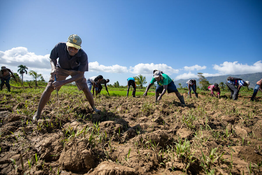 Where security prevails, WFP projects have built farmers resilience against the growing impact of climate change, which has intensified droughts and floods. Photo: WFP/Theresa Piorr