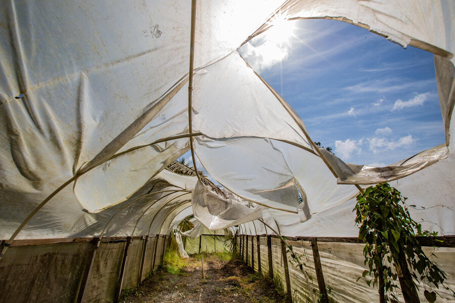 The cover of a greenhouse remains torn two years after cyclone Lisa struck Belize in 2022