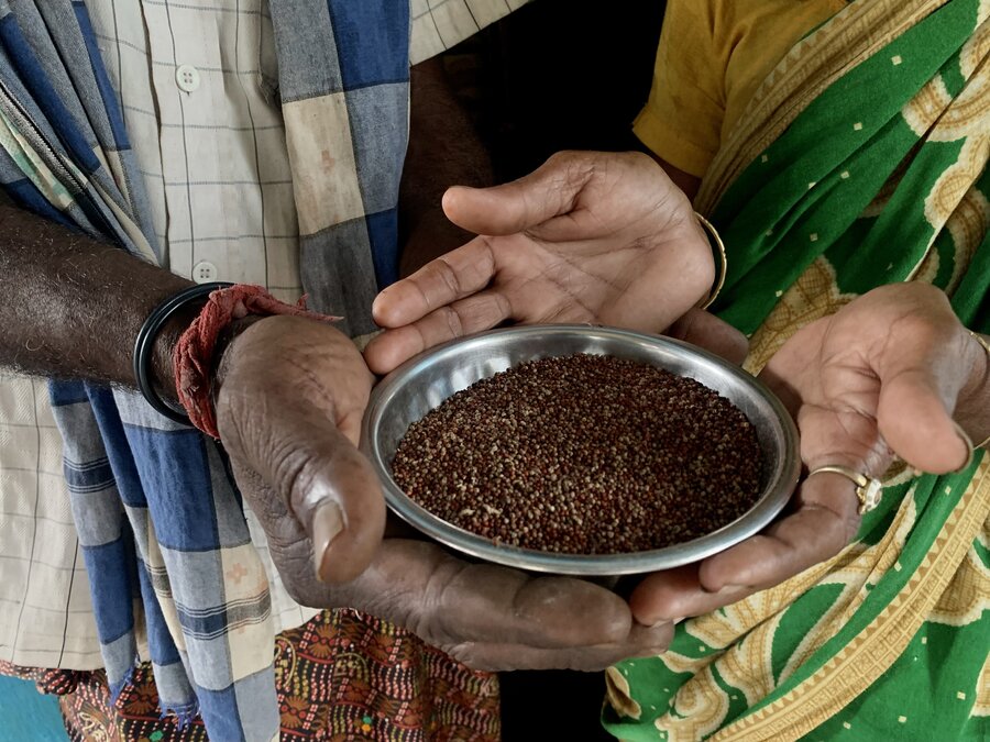 Millet's many varieties are all powerful sources of vitamins and minerals. Photo: WFP/Shyamalima Kalita