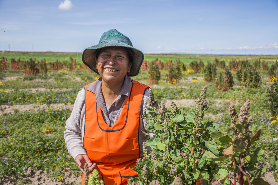 In Bolivia, Trigida Jiminez aims to put the hearty, traditional grain, cañahua, back on the nation's plate. Photo: WFP/Daniele Navia
