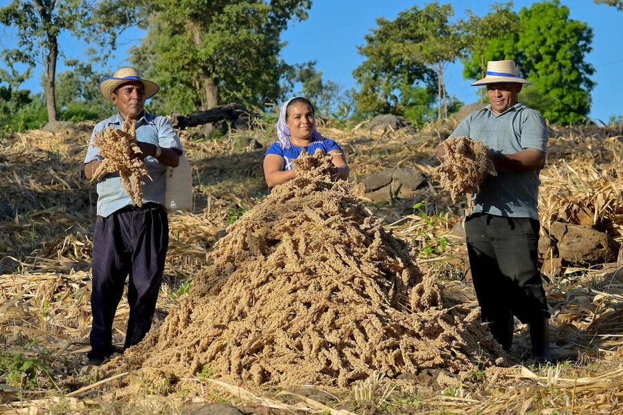 In El Salvador, farmer Hadid Sánchez (C) has learnt to make biscuits and pizzas with the nutritious, versatile sorghum she grows. Photo: WFP/CitricMedia