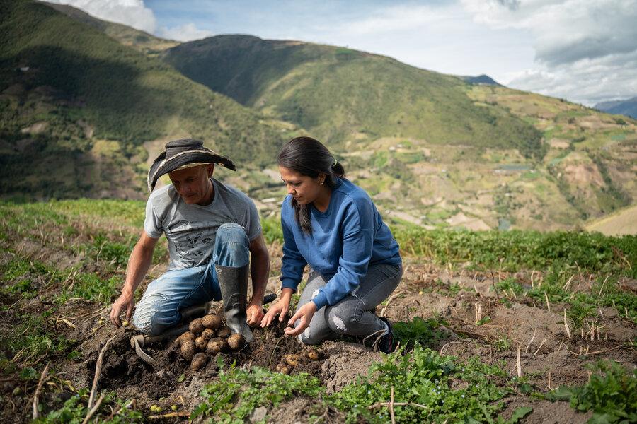 María Alejandra cosechando junto a un productor en Jacó. Foto: WFP / Gustavo Vera 