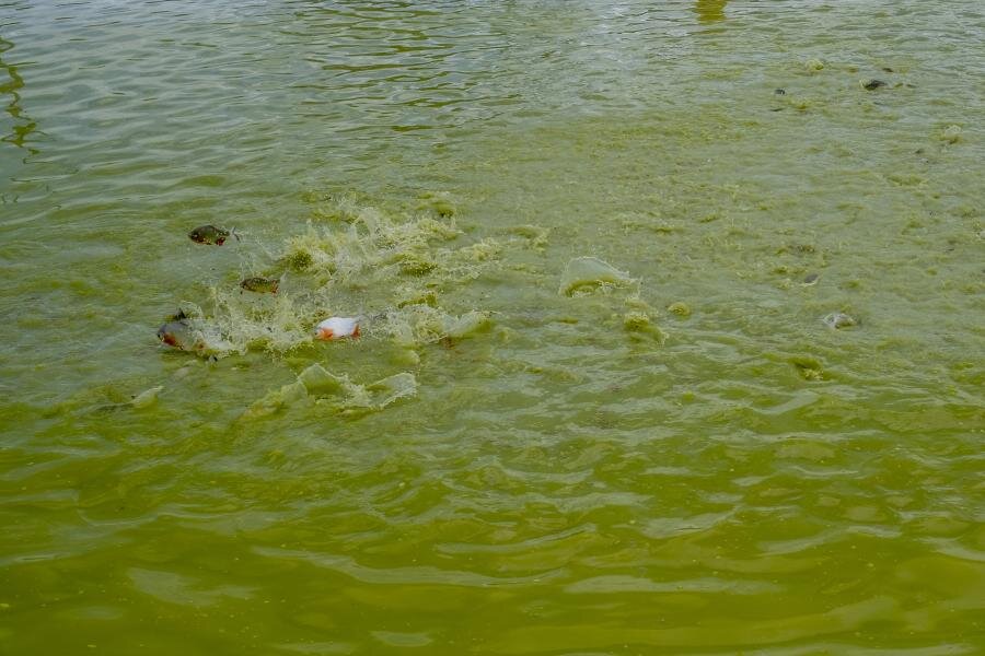 Una malla de pescar en el agua. Foto: WFP / Colombia