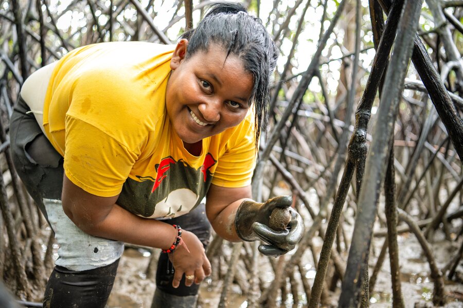 Pamela recolectando conchas en el manglar. Foto: WFP / Colombia