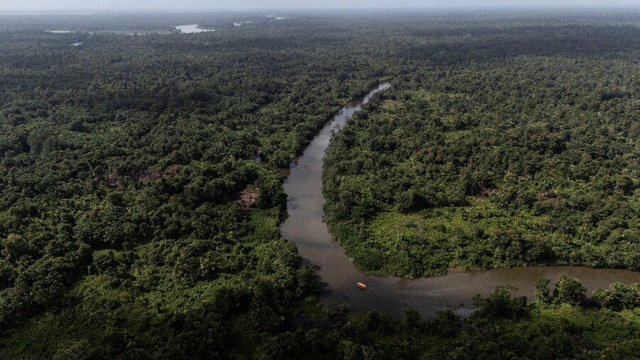 Toma aérea del río Orinoco cruzando el espeso bosque. Foto: Matías Delacroix