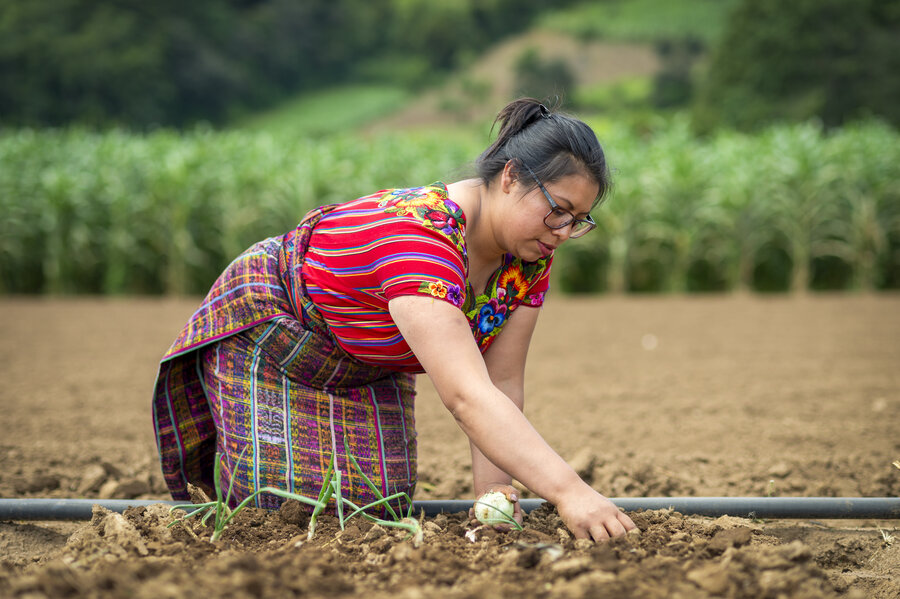 Agricultora local trabaja en su parcela para vender sus cosechas a escuelas en Guatemala. Foto: WFP / Giulio D’Adamo 