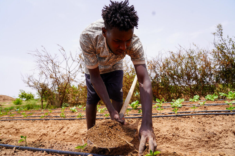 A young man in Somalia plants seedlings. Photo: WFP/Sara Cuevas Gallardo