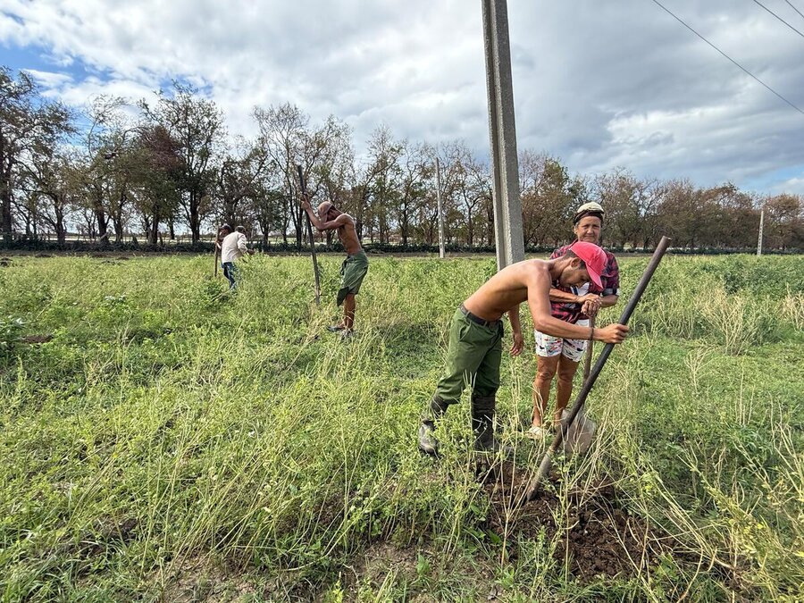Comunidad trabajando para recuperar las áreas afectadas