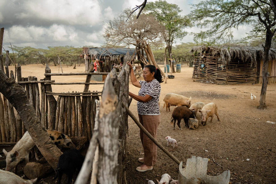 Magaly Fernández dedica muchas horas al día a alimentar y cuidar sus animales: chivos, cabras, cerdos y gallinas. (Foto: WFP/Gustavo Vera) 