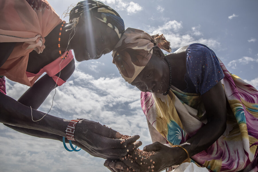 A closeup of two women looks down at grains they are holding, backdropped by blue sky and clouds. Photo: WFP/Gabriela Vivacqua