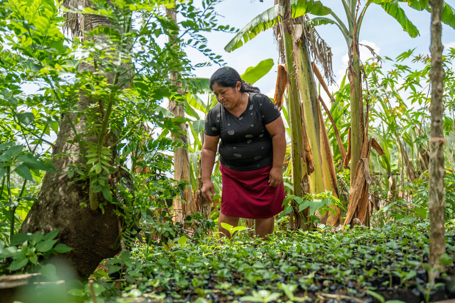 Teresa Gómez, presidenta del banco de granos en la comunidad Uriles Pinalón, en su parcela donde cultiva alimentos para su hogar.  © WFP Guatemala / Nelson Pacheco