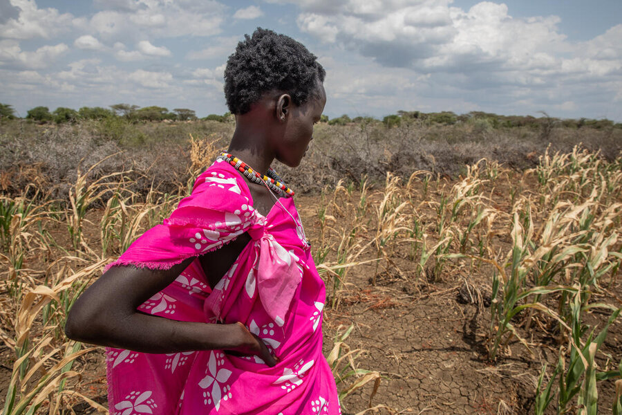 A farmer in South Sudan wearing a pink gown surveys her crops withered by drought. Photo: WFP/Gabriela Vivacqua