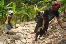 5 años después  del terremoto, PMA y el pueblo haitiano construyen un país más fuerte