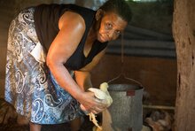 Mejora la seguridad alimentaria en el Caribe, pero persisten los desafíos 