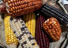 La inseguridad alimentaria moderada y severa en Colombia alcanza el 30%