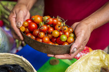 Manos de mujer muestra una cesta con tomates