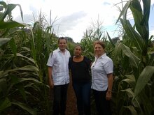 Honduras: Pequeños productores son capacitados para cultivar alimentos biofortificados