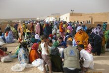 Argelia: piden la continuidad de la asistencia alimentaria a los refugiados del Sáhara Occidental