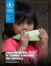 Evaluación nacional de seguridad alimentaria para Guatemala: informe resumido, agosto 2023