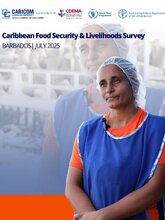 Encuesta de seguridad alimentaria y medios de vida del Caribe - julio 2025