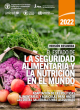 El estado de la seguridad alimentaria y la nutrición en el mundo (Informe SOFI - 2022)