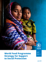 Estrategia del Programa Mundial de Alimentos para apoyar la Protección Social