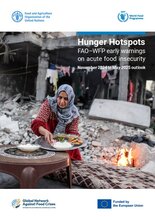 Perspectivas de los Puntos Críticos del Hambre Alertas tempranas FAO-WFP sobre inseguridad alimentaria aguda DE junio a octubre de 2025