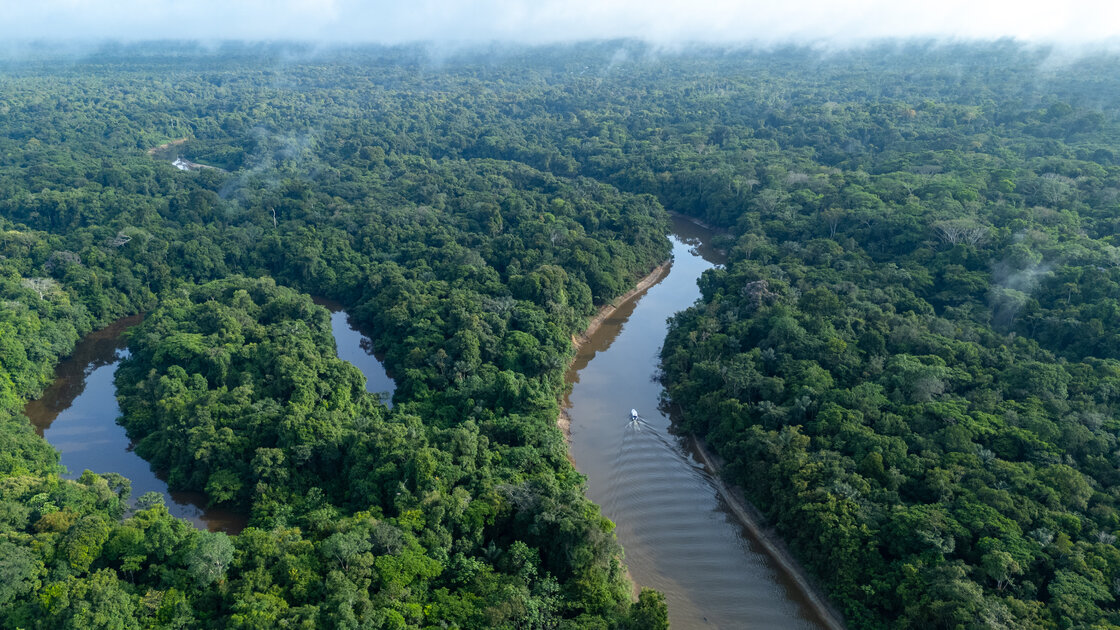 Caminos hacia la seguridad alimentaria en la Amazonía | World Food ...