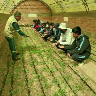 Taller en una huerta bajo techo