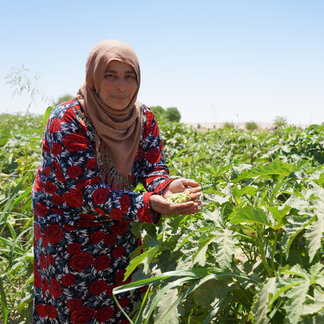 Los proyectos de riego que cuenta con el apoyo de WFP ayudan a los agricultores a producir alimentos para sus familias y contribuyen a reforzar la seguridad alimentaria en toda Siria. Foto: WFP/Jessica Lawson