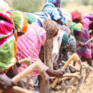 Mujeres trabajan la tierra.