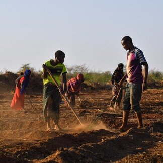 Los agricultores preparan las tierras de labranza como parte de las medidas preventivas contra las perturbaciones climáticas.