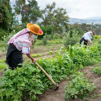 Two women working on a field. Photo: WFP/Ana Buitron