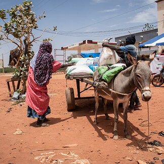 A woman loading WFP food items in her cart. Photo: WFP/Benoit Lognone